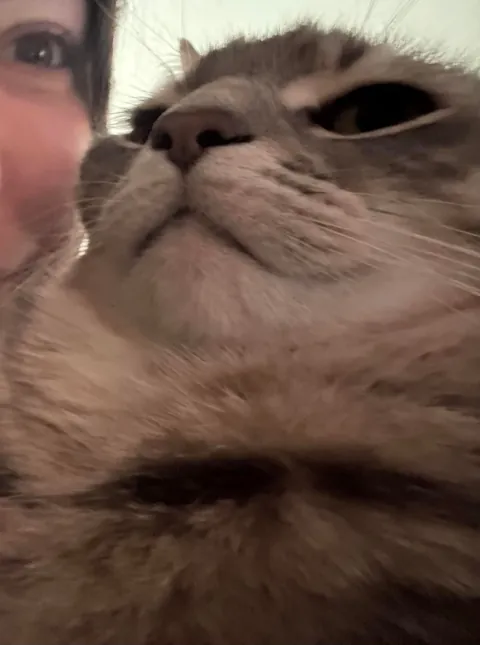 He bit my roommate so I’m posting his ugliest pics