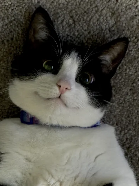 I’m obsessed with my little girl Gemma