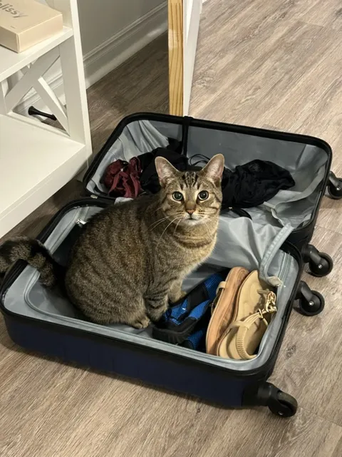 She's coming, like it or not