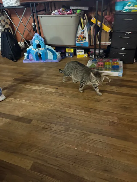 Why is she so short? She’s 1 years old now.