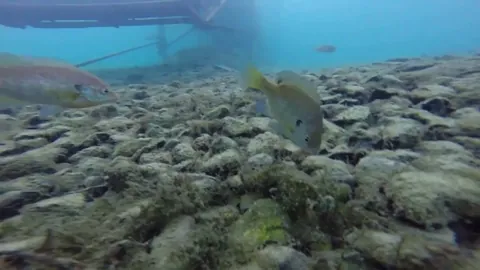 Lightning strikes the water surface with Scuba divers under it 