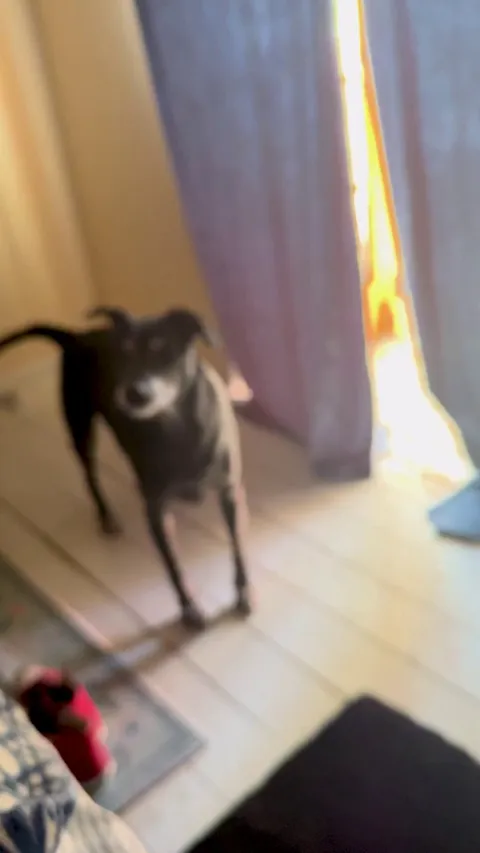 Omg you’re awake!! He does this every morning 😂