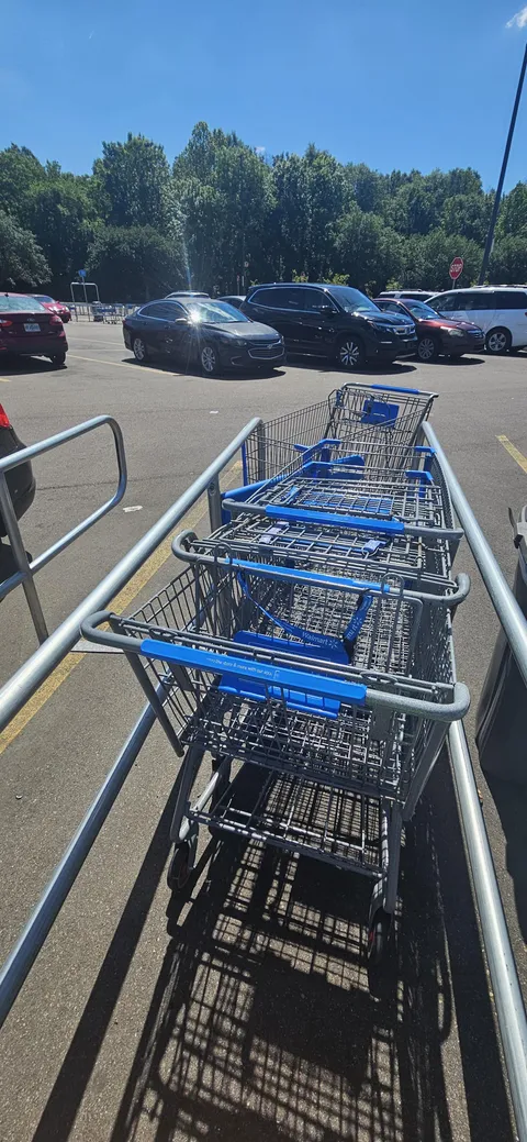 I work as a cart pusher and people that do this are annoying. PUT THE DAMN CART IN THE SLOT ITS SUPPOST TO GO IN, HOW LAZY CAN YOU BE