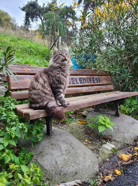 15 Years of Travel: Minarets, Mountains, and Motorcycles Edition