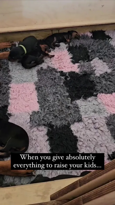 Momma needs that sleep 😴🐶