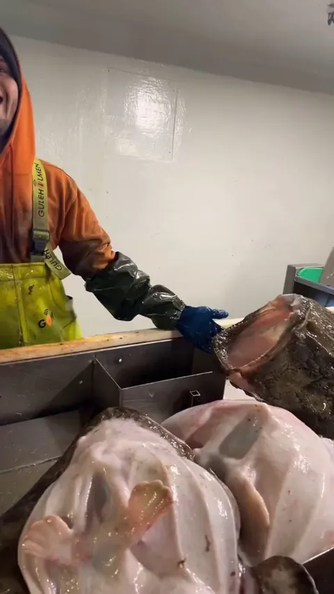 "What happens if I stick my head in here?"