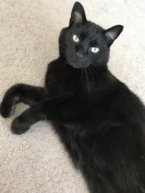 We have been together 19 1/2 years now!