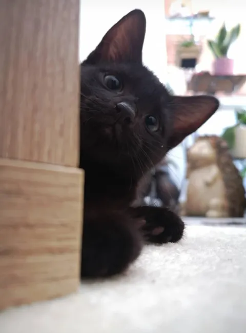 The day I brought him home vs five years later