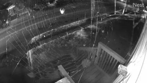 This is how my night is going.