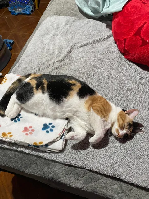 She saved me from committing suicide and gave me a reason to live.