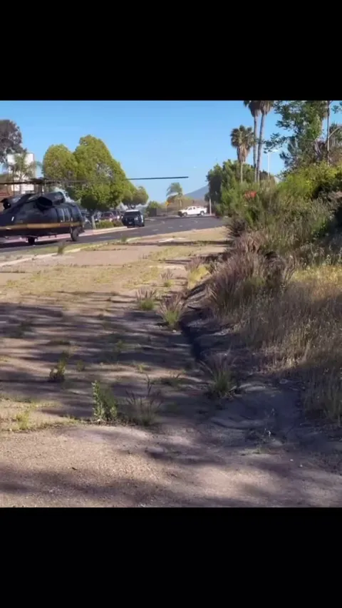 Emergency helicopter flight for K-9 bitten by Rattlesnake.