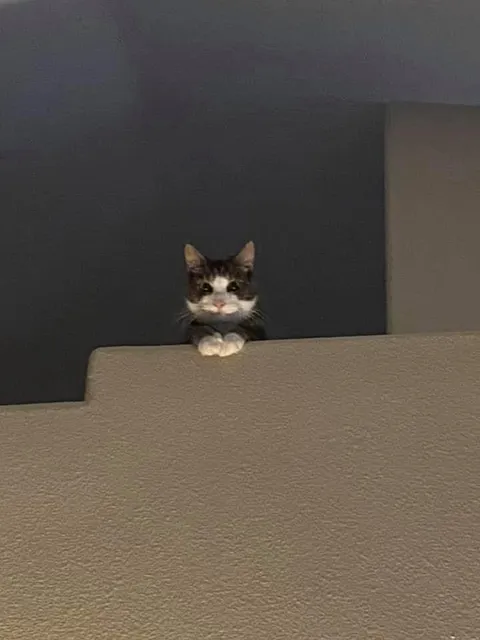 He’s been expecting me