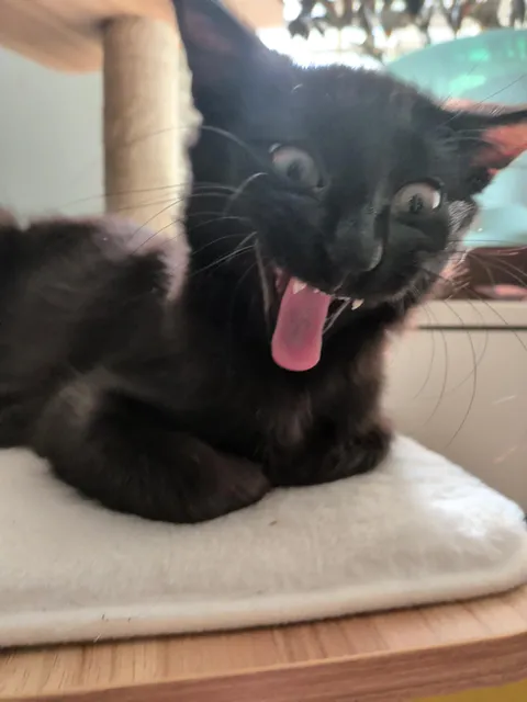 Show me your weirdos!