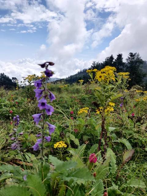Nepal - On the way to the Annapurna Base Camp