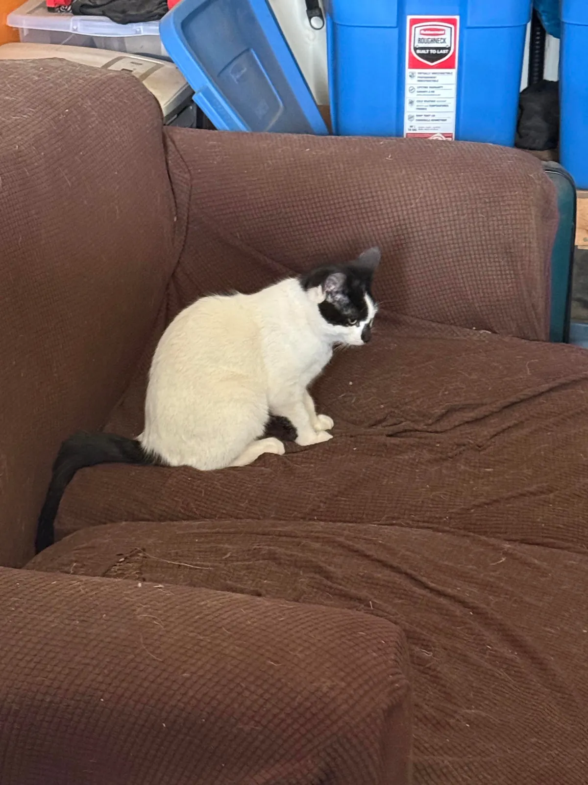 Pazuzu bothering Murphy when he was just trying to rest