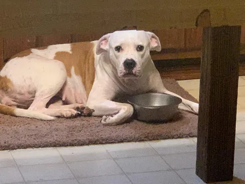 Dinner is at 5:00...Not 5:03