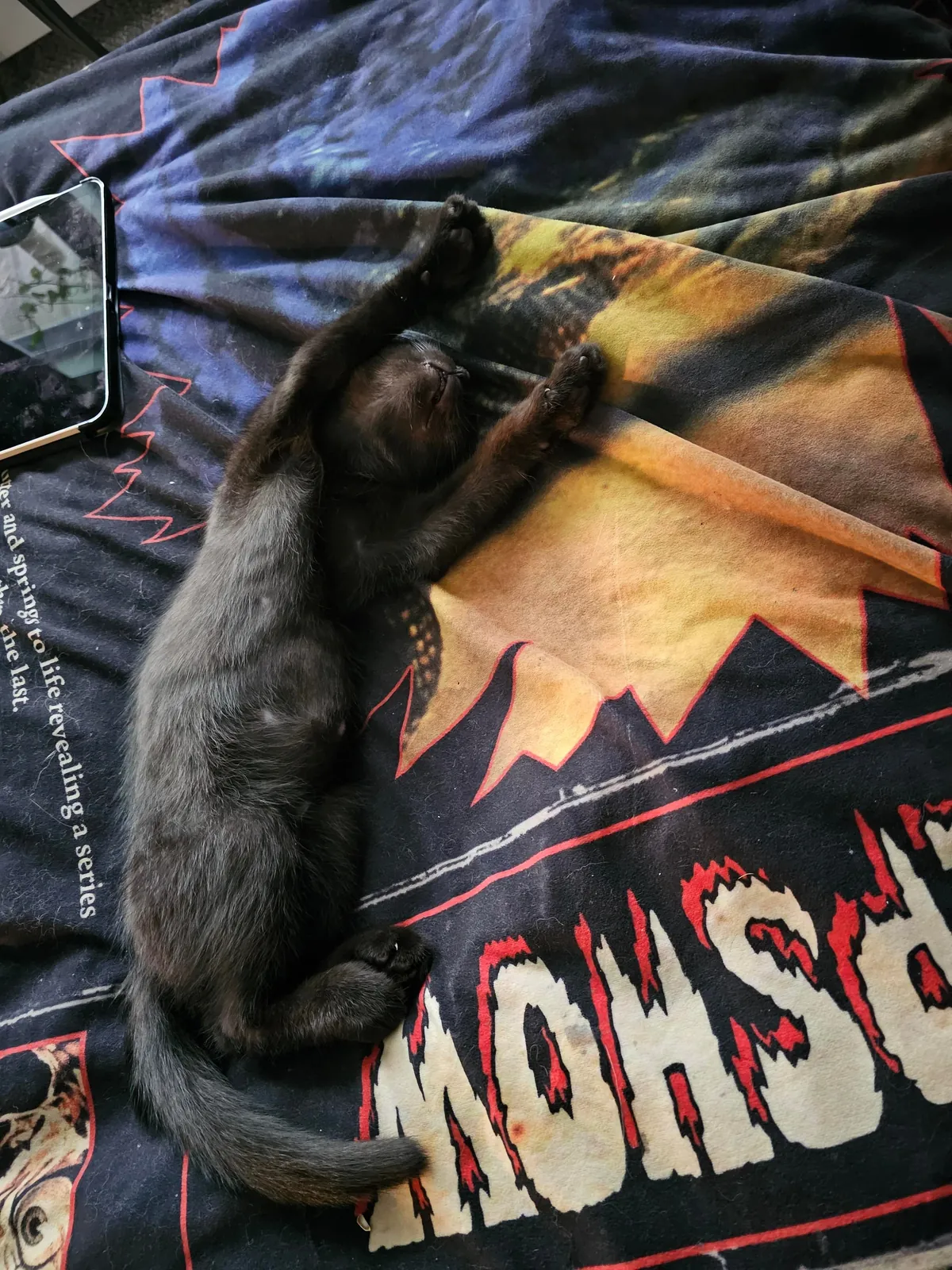 Are my cats ...okay? be honest