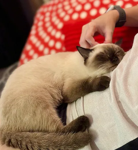 She loves me so much. I don't even understand why.