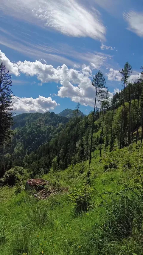 Naked hiking makes me happy and excited