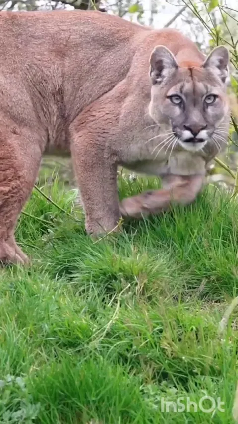 🔥 Checking out the wildlife camera