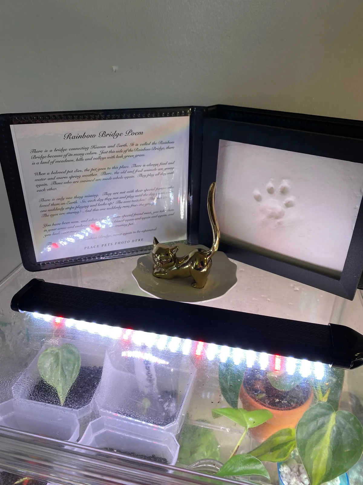 I’m sorry for the sad post. My girl is home.