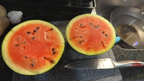 It ain’t much, but this is the first time I grew something from seed, and I’m super proud of it!