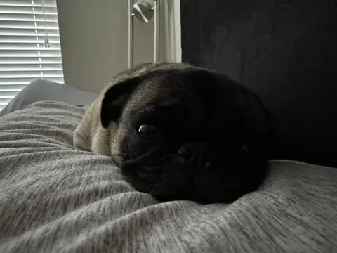 The first thing I see this morning.