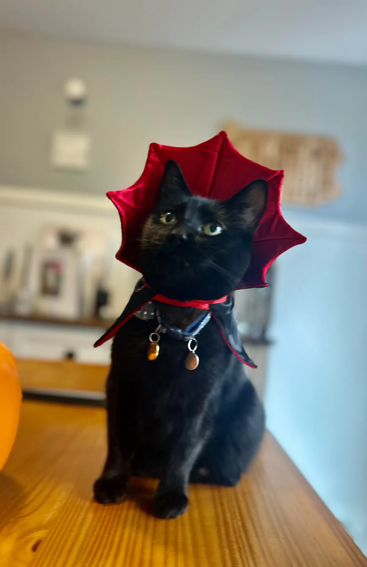 They call him The Prince of Darkness