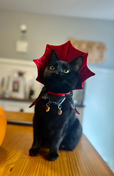 They call him The Prince of Darkness