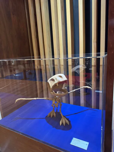 Took my son to the Pokemon Fossil Exhibit. Here are some pictures.