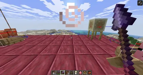 You still can make the sulfur cube zipline/flying machine on java, just need a few adjustments