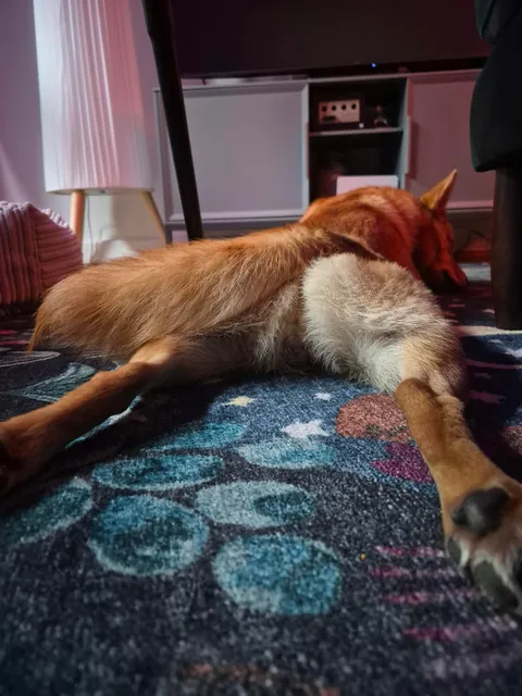 My bestest buddy Felix