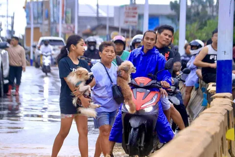 No Pets Left Behind 🐾❤️