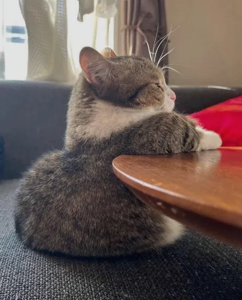 Pass me a glass of milk ma'am