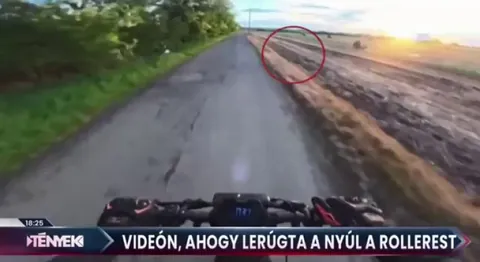 Rabbit takes out scooter rider in Hungary