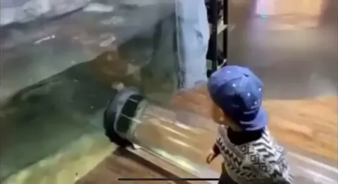 Boy and Otter touched each other.