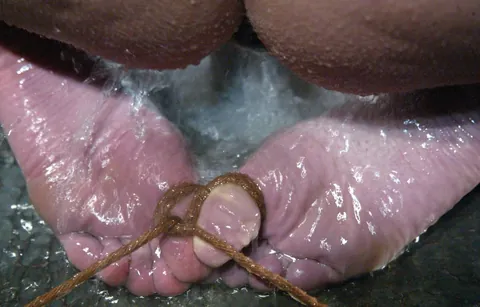 No escaping, no avoiding