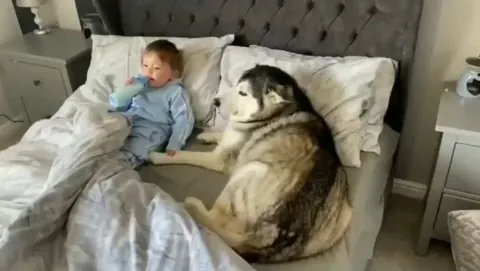 Dog refuses to get out of bed then proceeds to fall asleep looking after baby.