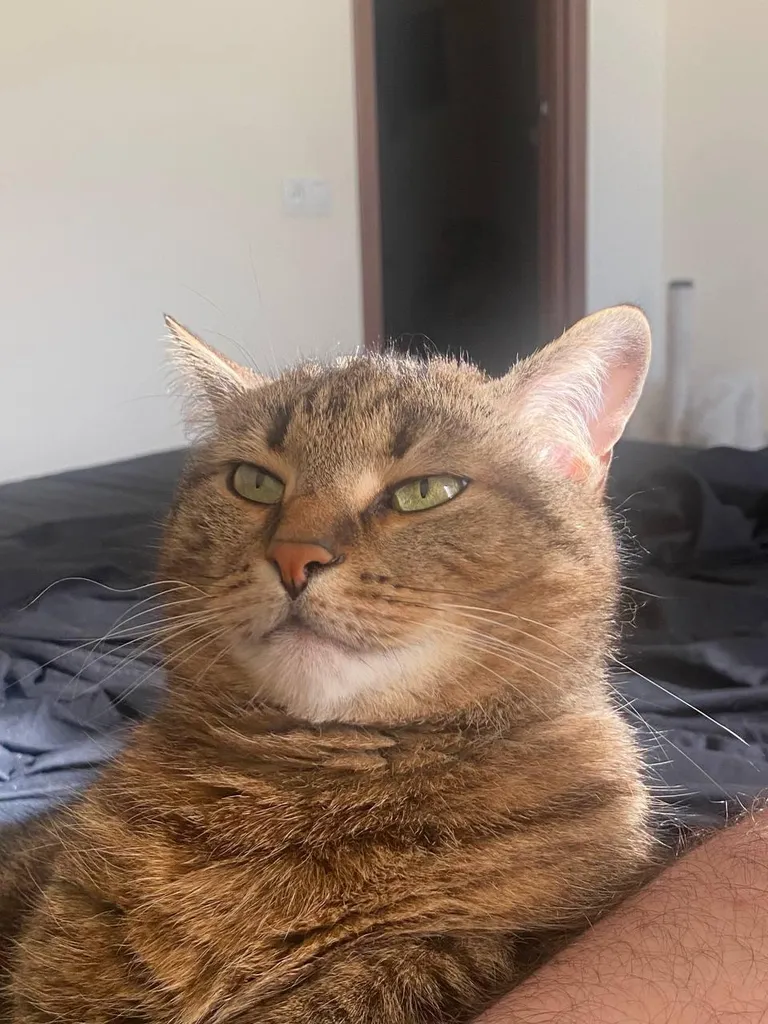 No morning starts without my signature disapproval.