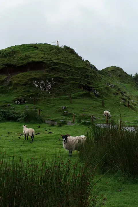 Isle of Skye, Scotland 🏴󠁧󠁢󠁳󠁣󠁴󠁿