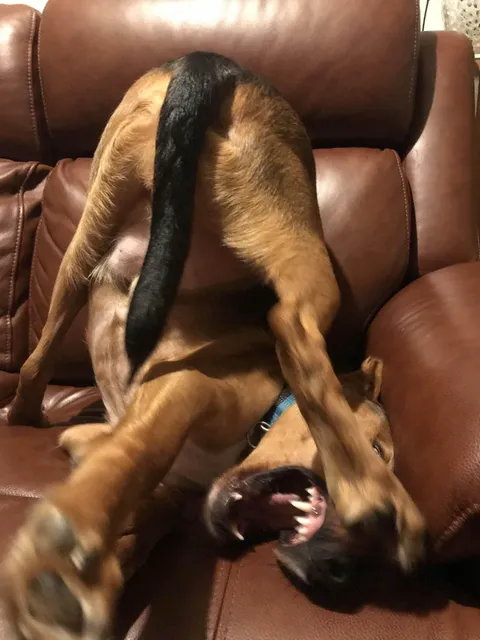 My boy was in a goofy mood