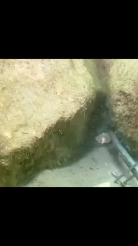 The way he came out to save her ♥️