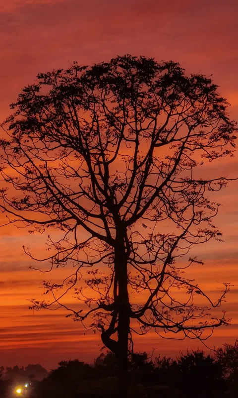 Coming Back to My Hometown