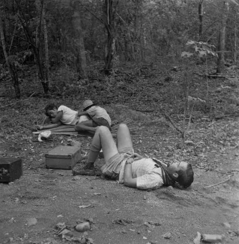 The first adventures photos of David Attenborough, in 1950s.