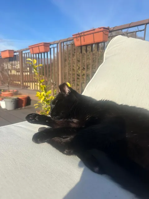 We’re saying goodbye to this icon tomorrow.