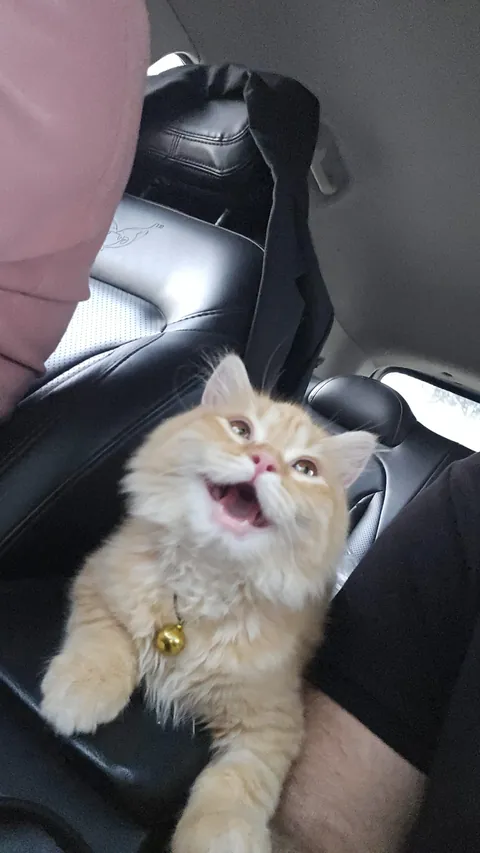 Bro is just happy to be here