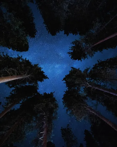 The night sky has always held a special place in my heart. The twinkling stars, the vastness of the universe.