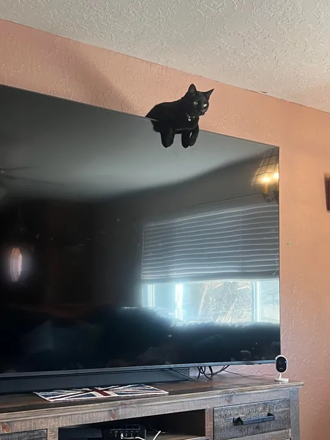 Help me stop this naughtiness