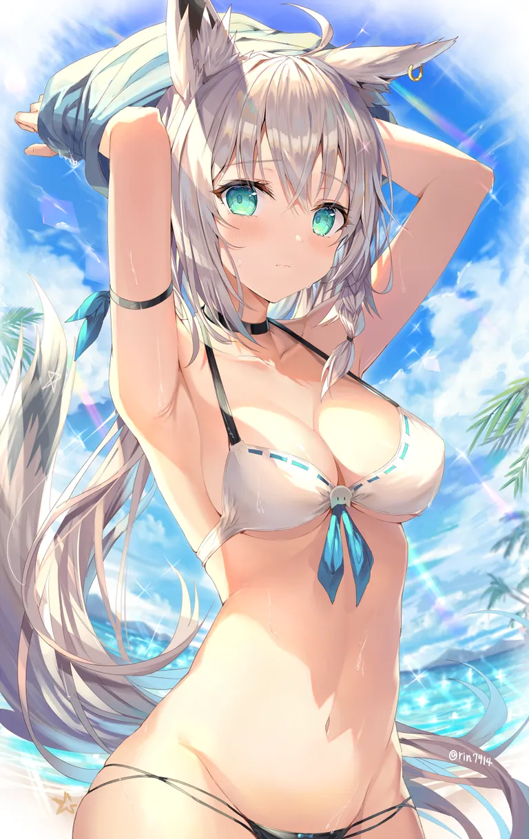 Shirakami Fubuki's Pit