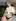 Swipe for reveal